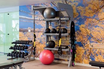 Fitness center strength and conditioning equipment
